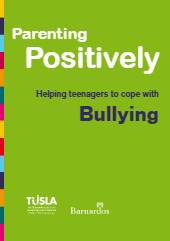Helping teenagers to cope with bullying: Booklet for parents/carers