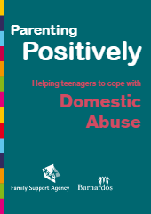 Helping teenagers to cope with Domestic Abuse booklet