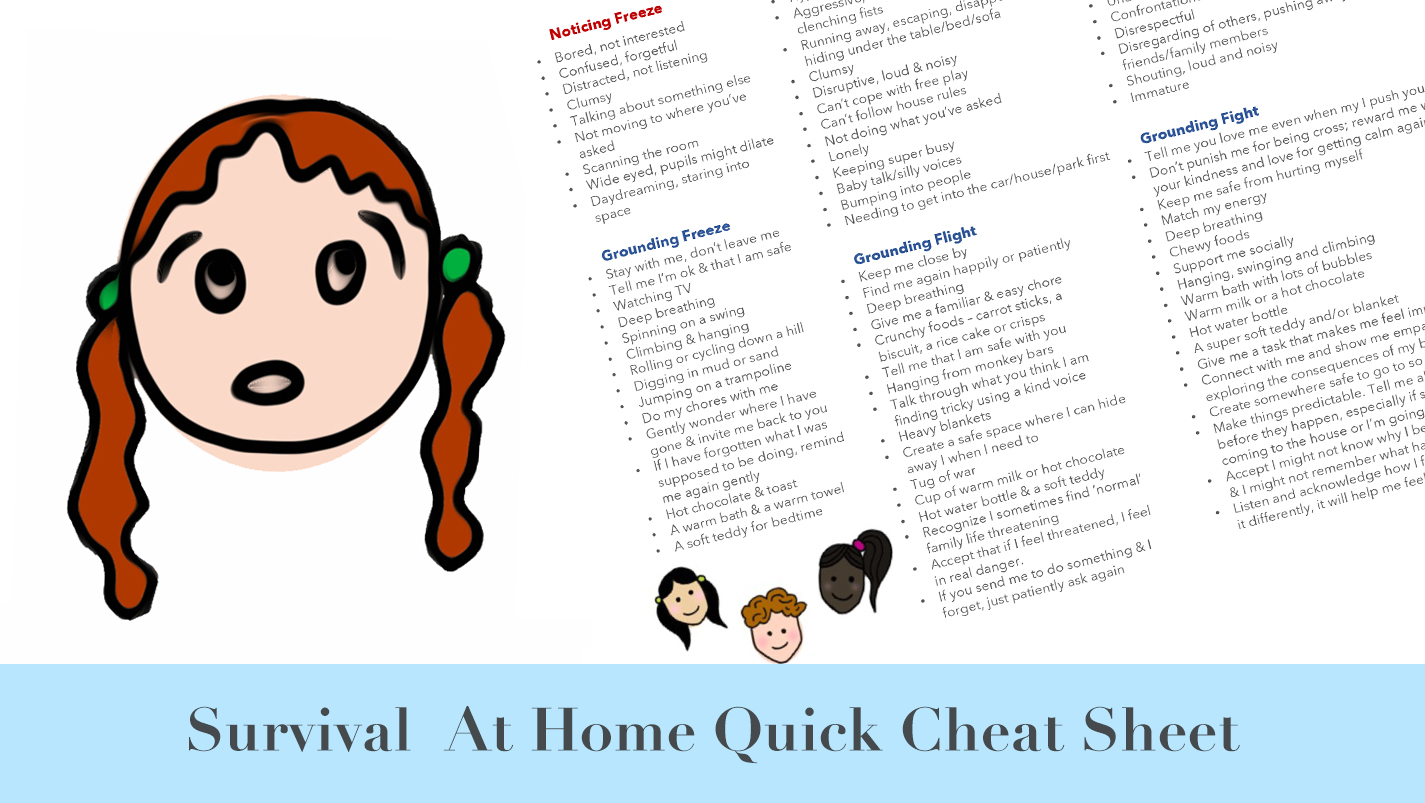 Booklet 2: Survival at Home Quick Cheat Sheet