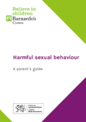 Harmful sexual behaviour: A parent's guide