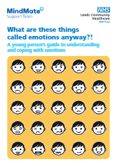 Young person’s guide to understanding and coping with emotions